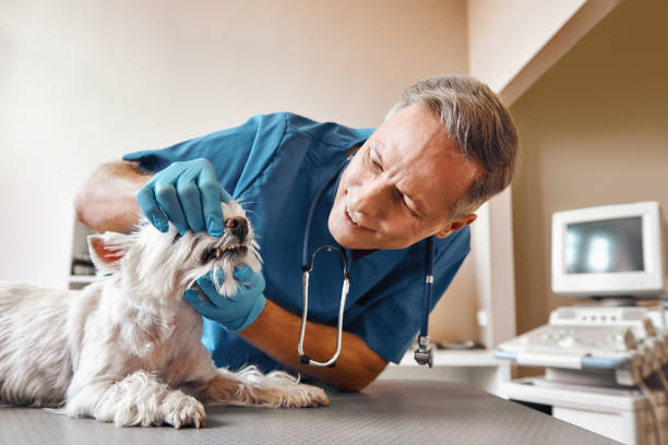 Best After-Hours Emergency Dentist in Milton, FL